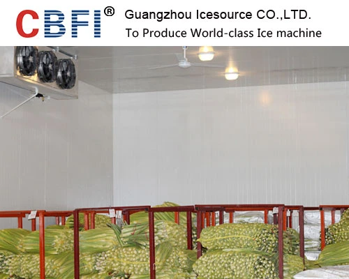 Chiller cool room Customized for vegetables and fruits, medicine etc