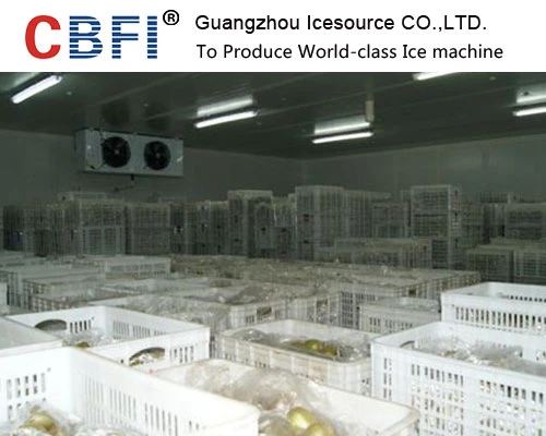 Chiller cool room Customized for vegetables and fruits, medicine etc